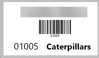 Card with player name, barcode, number, and team name